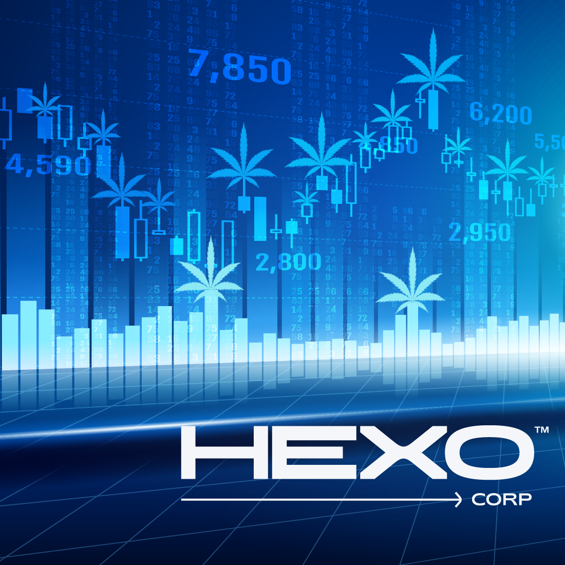 Hexo Corp Official Website