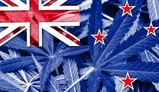 new_zealand_cannabis