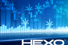 hexo_feature_main