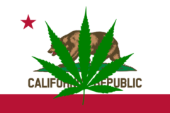 cannabis_in_california