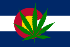 cannabis_in_colorado