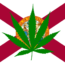 cannabis_in_florida