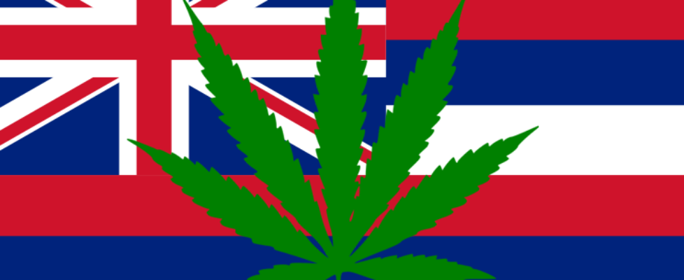 cannabis_in_hawaii
