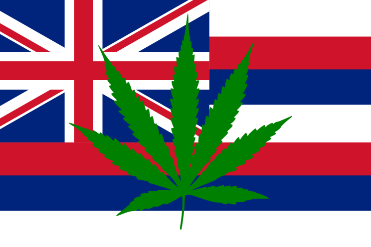 cannabis_in_hawaii