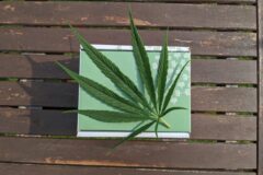 Cannabis Packaging Environmentally Friendly