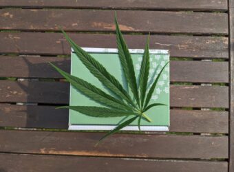 Cannabis Packaging Environmentally Friendly
